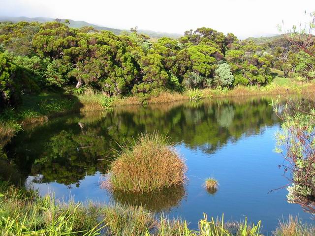 Le petit lac de sommet entouré de ses brandes