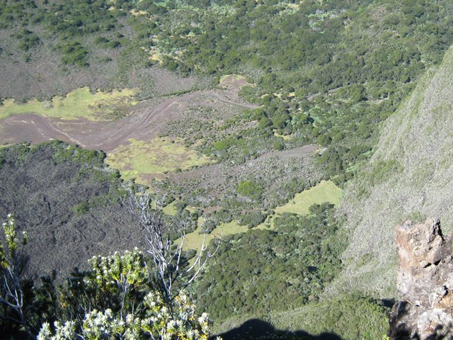 Entre prairies, coulées et large ravine dans le Fond de la Rivière de l'Est