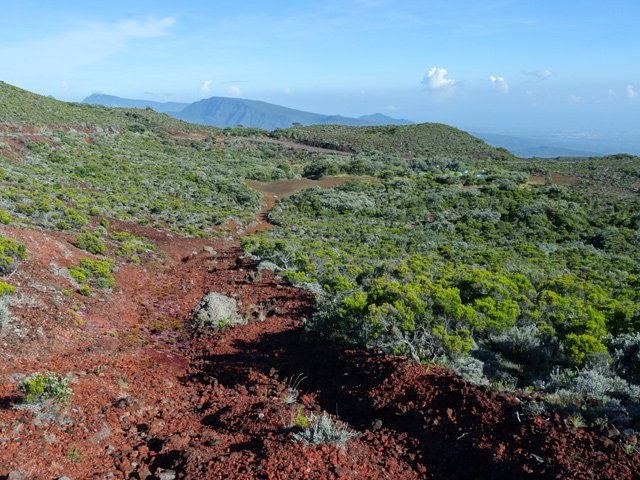 Le retour, jusqu'à Bois d'Ozou se poursuit sur ce même sentier