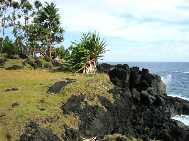 Balade agréable sur le gazon ras sans forcément suivre le sentier
