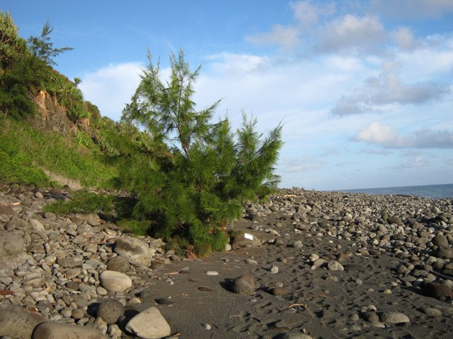 Marche sur le sable et les galets en suivant les traces de peinture blanche