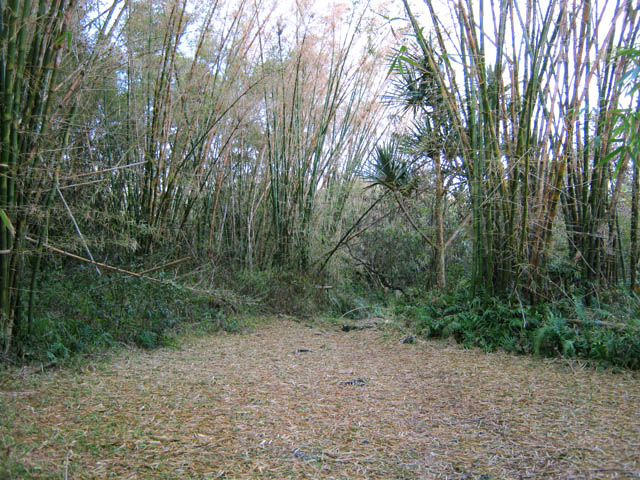 Le très large sentier après Sainte Rose