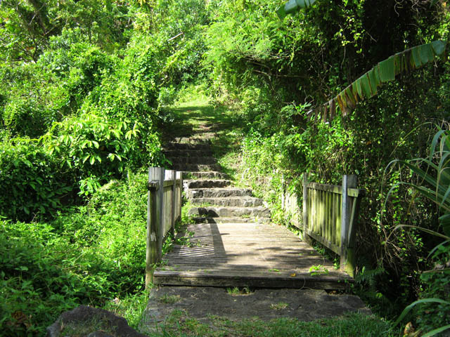 La passerelle proche de la Ravine Glissante