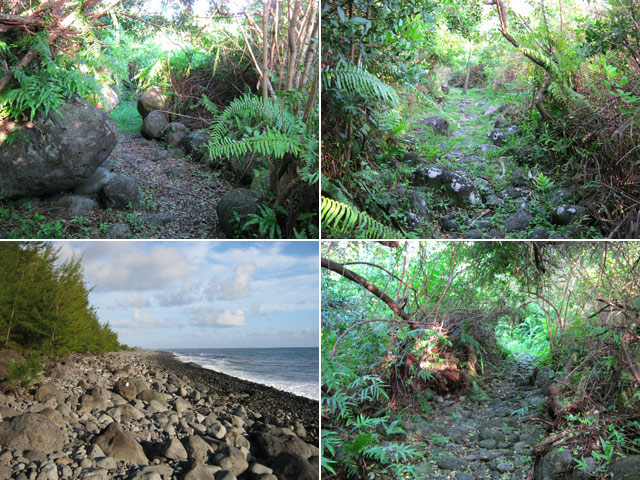 Quelques portions du sentier en début de randonnée