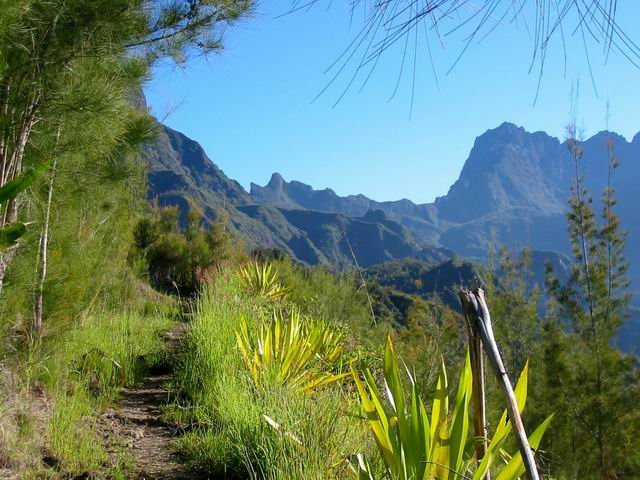 Le Piton des Neiges vu du sentier du Reposoir