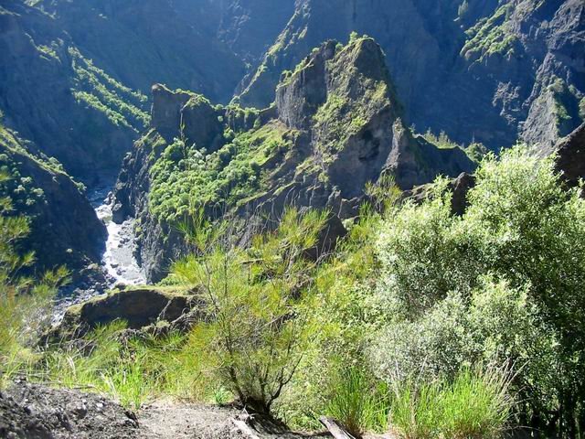 Les Ilets du Camp de Puces et les Aigrettes