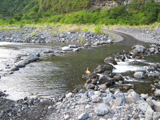 Les gués ont une existence aléatoire dans la vallée de la Rivière des Galets