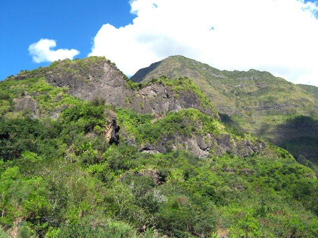 Au pied du Piton Cabris
