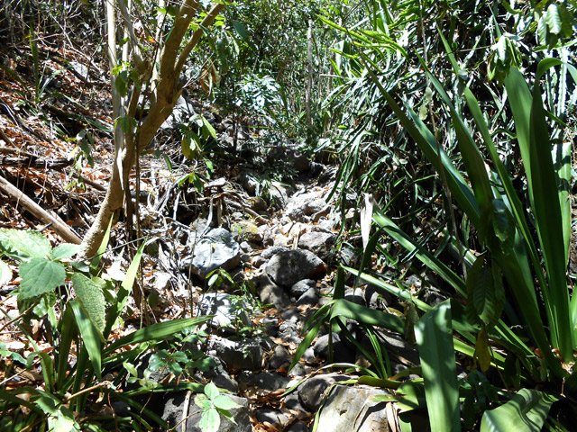 Ici, plus difficile sur les cailloux