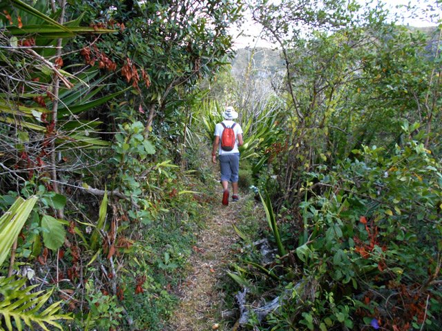 Sentier très bien marqué tant qu'il y a des habitations à proximité