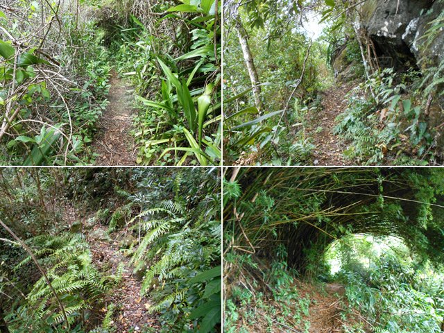 Quelques exemples de ce sentier devenu très praticable