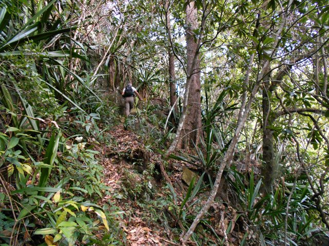 Quelques petites montées mais le sentier est généralement assez plat
