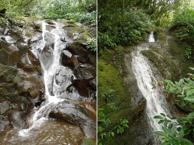 Attention aux glissades si on s'approche des captages et cascades de la Ravine Rubinais