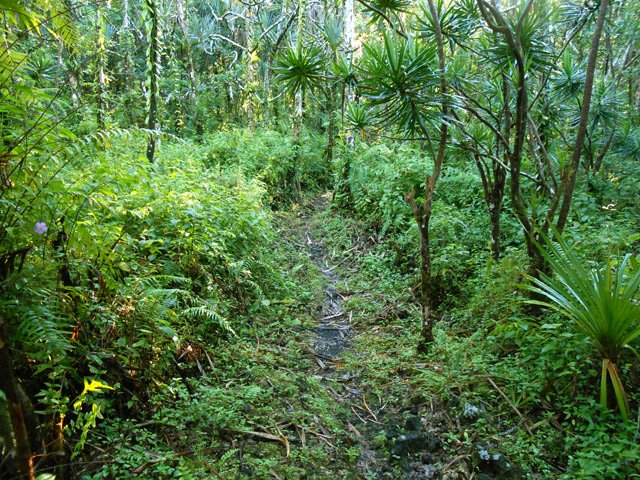 Le sentier rocailleux et glissant descendant au Quai de l’Église
