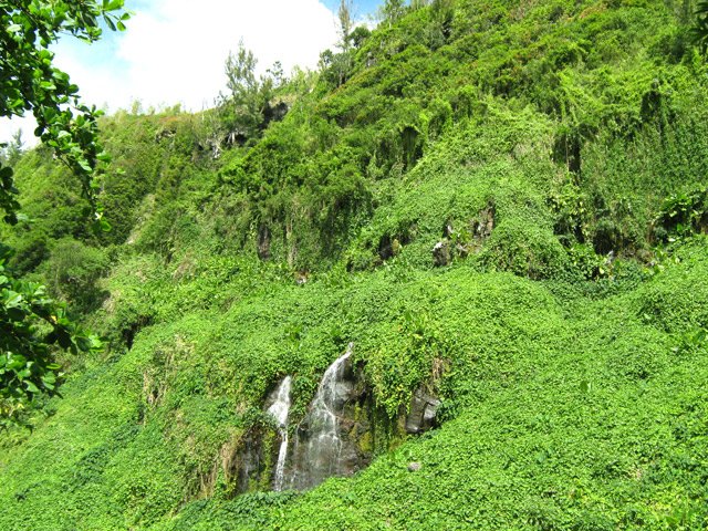 Une des nombreuses cascades de l'anse éponyme