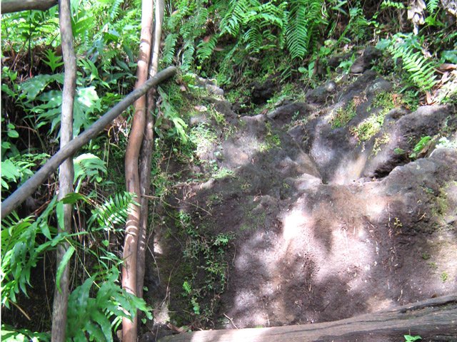 Une portion très abrupte du sentier