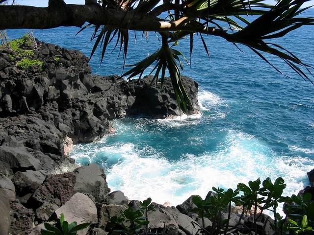 La côte déchiquetée sous les vacoas