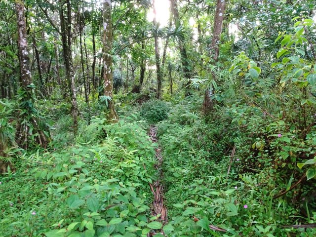 Moins entretenu, il risque d'être étroit ou difficile à suivre