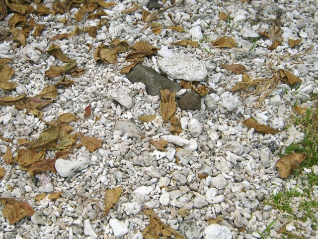 On sait pourquoi cette pointe porte ce nom