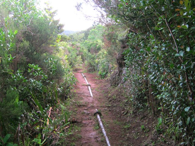 Une tuyauterie en suit une bonne longueur