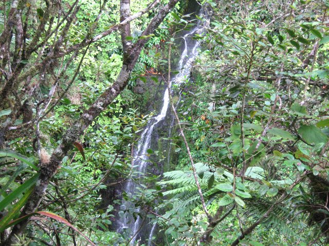Au retour, on passe assez près de la cascade du Grand Bras