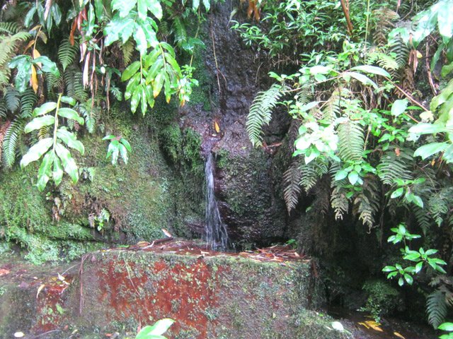 Une des deux sources d'eau fraîche