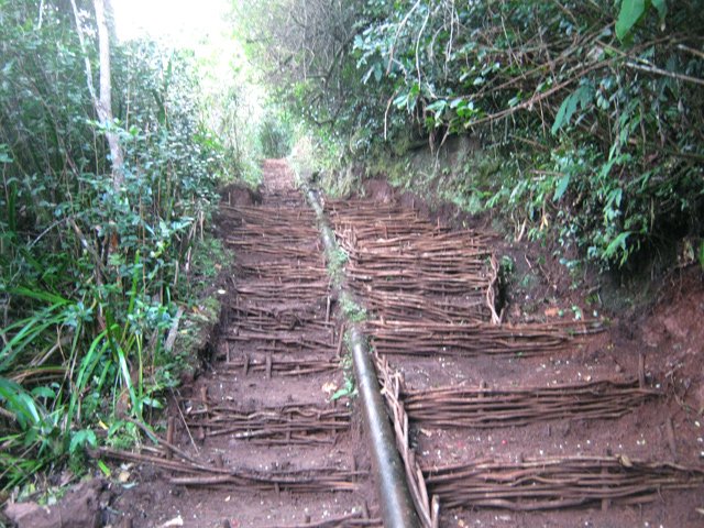 Le tuyau est déjà le compagnon de marche