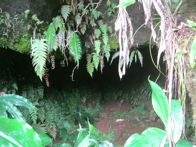 Une grotte bientôt impossible à voir en raison de longoses
