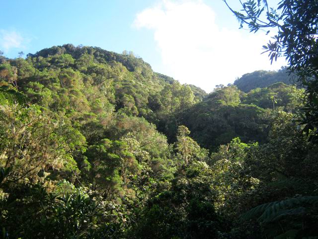 Vue sur la fin de la sortie, aux sources, 500 m plus loin