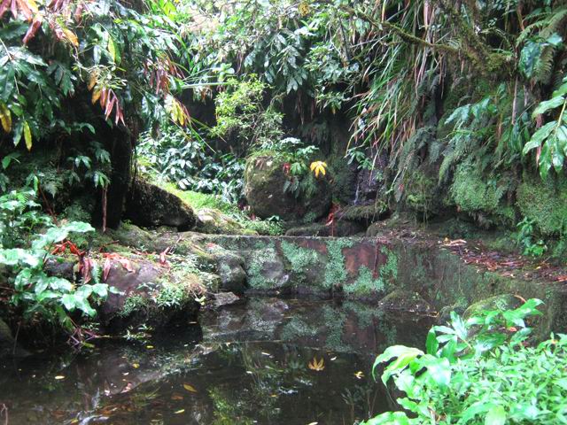 Le captage du Grand Bras et ses deux sources