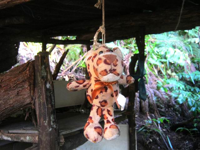 La panthère des longoses garde la case en l'absence des propriétaires