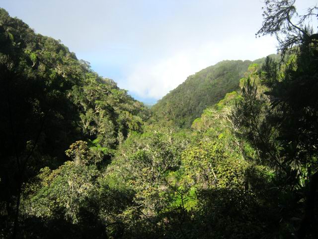 Une petite fenêtre sur l'océan par la vallée du Grand Bras