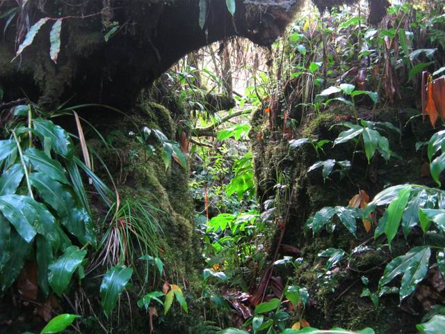 Il a fallu creuser pour faire passer le sentier et le tuyau