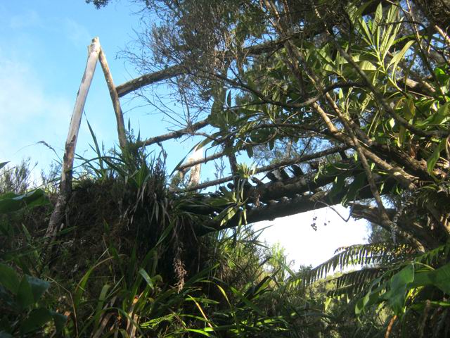 Une petite passerelle rustique pour aller à la case