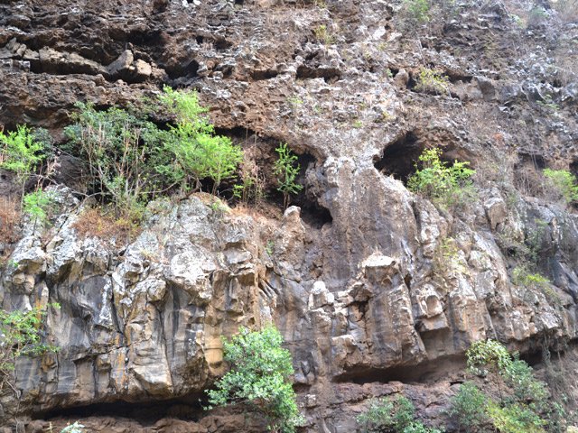 La végétation s'implante partout