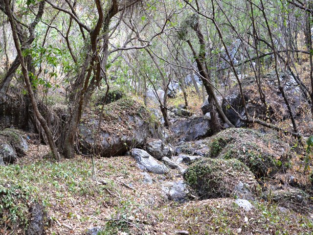 L'endroit paraît touffu mais on passe sans problème