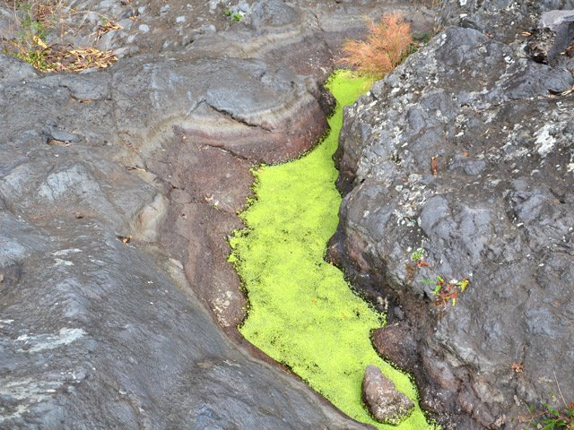 Les rares flaques restant sont emplies d'eau croupie