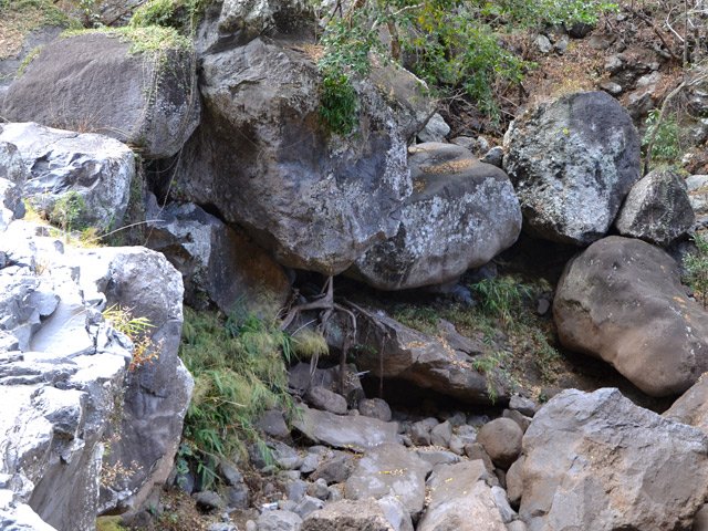 Même les bassins se passent facilement par des grimpettes