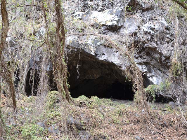 La plus grande et la plus belle des cavernes, issue d'une sortie de tunnel de lave