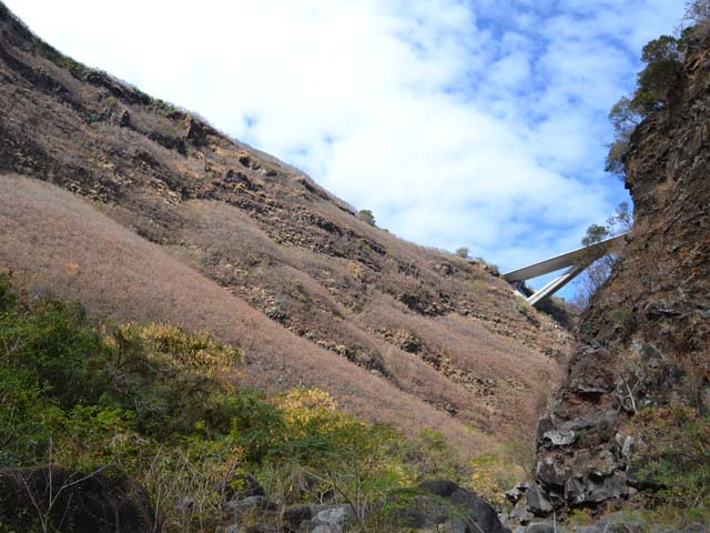 Les pentes du rempart, couvertes d'épineux infranchissables