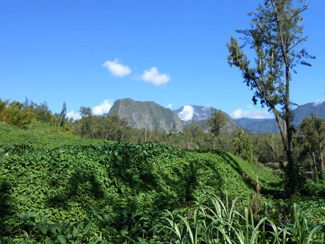 Vue sur le Piton d'Anchaing