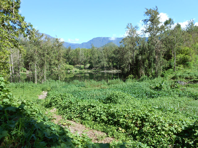 Les allergiques au chouchou trouveront un autre itinéraire !