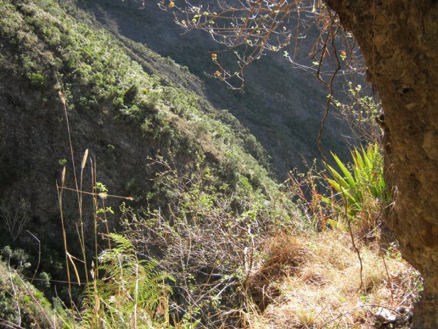 Une petite grotte dans la première minute de descente