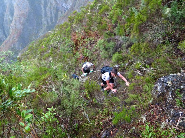 Le sentier part vers la droite dans la végétation