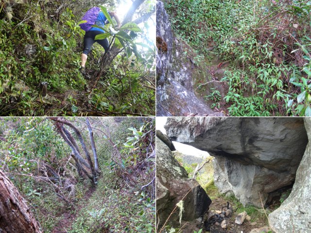 Quelques idées du passage dans la végétation ainsi qu'une petite grotte