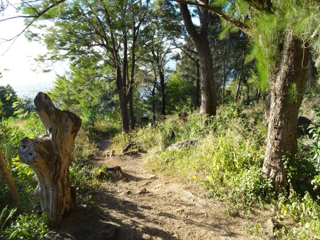 Le début de la descente vers le Cap Bernard