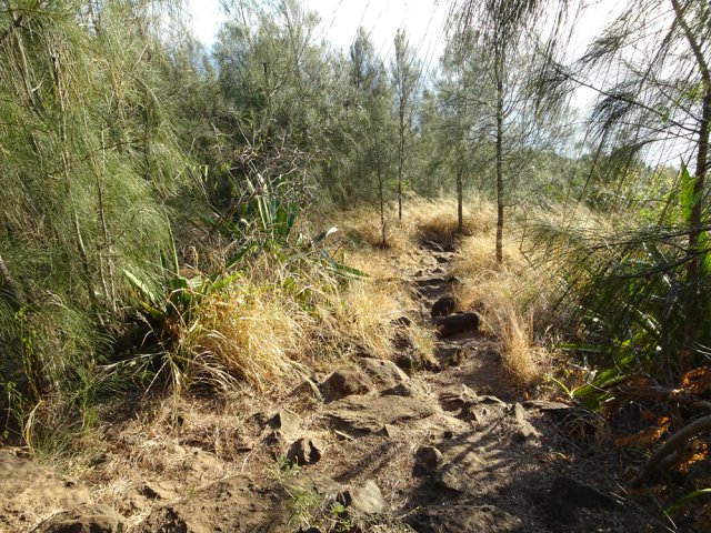 Là aussi, beaucoup de cailloux sur le chemin