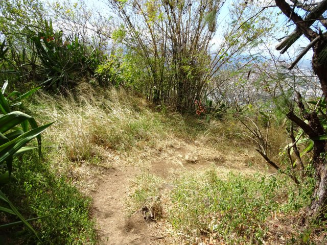 Le sentier qui rejoint le Chemin de la Vigie