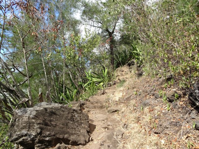 Une portion moins pierreuse que la moyenne