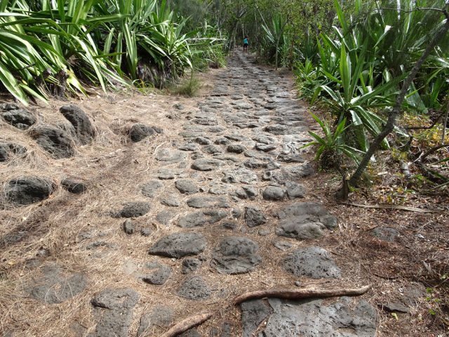 Deux belles portions pavées bien conservées